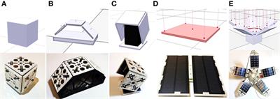 Toward Energy Autonomy in Heterogeneous Modular Plant-Inspired Robots through Artificial Evolution